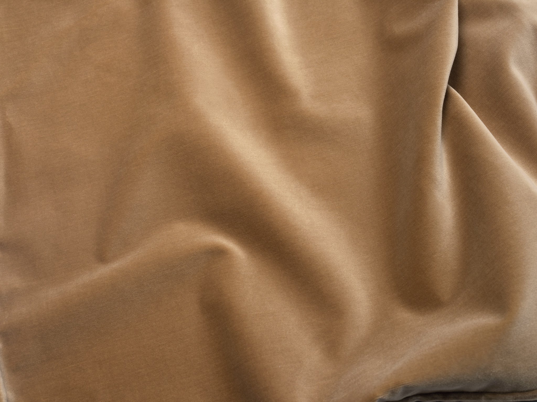 Lumbar Velvet - Latte (Cover Only) - Image 3
